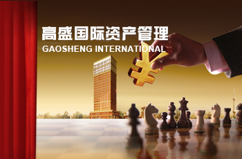 高盛國(guó)際資產(chǎn)網(wǎng)站案例